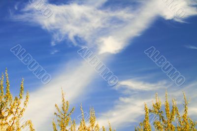  clouds  