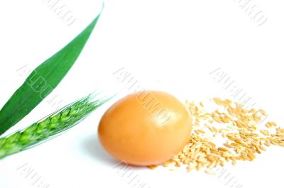 Egg and wheat