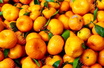 Oranges