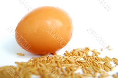 Egg and wheat grain