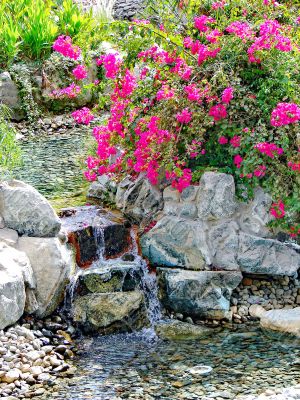 Waterfall and tropical garden in patio spa