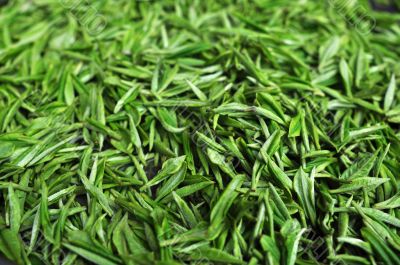 Fresh green tea