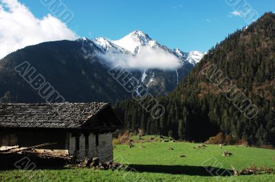 Landscape