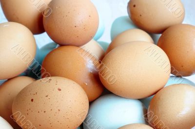 Eggs
