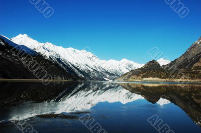 Landscape in winter