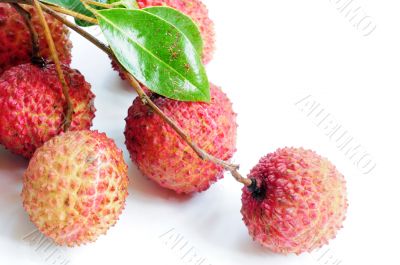 Lichi fruits