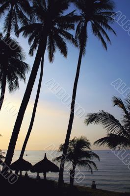Landscape on beach at sunrise