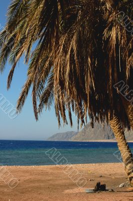 Landscape on beach