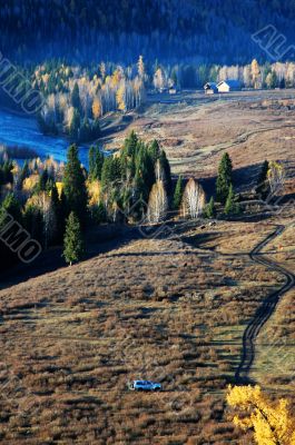 Landscape in the autumn