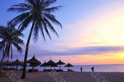Landscape at beach