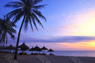 Scenery on beach