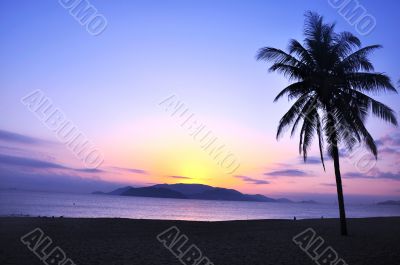 Scenery on beach