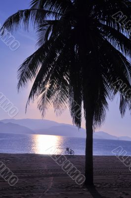 Landscape on beach
