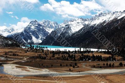 Landscape in winter
