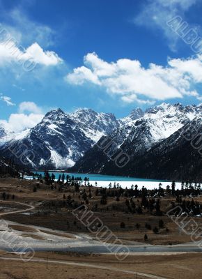Landscape in winter