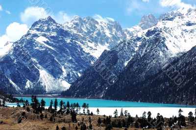 Landscape in winter
