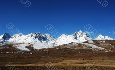 Landscape in winter