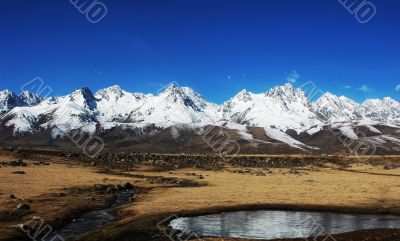 Landscape in winter
