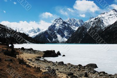 Landscape in winter