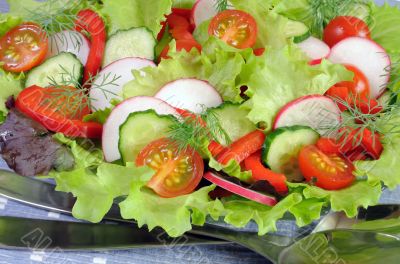 Summer salad of fresh vegetables 