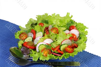 Summer salad of fresh vegetables