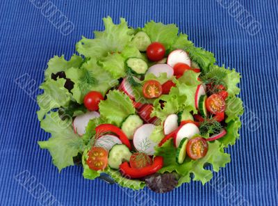 Summer salad of fresh vegetables 