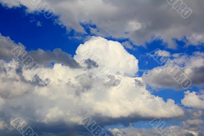 Image of summer fluffy sky