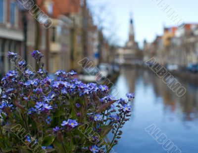 Flowers outdoors over the canal on background of the traditional
