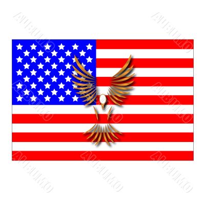 The American flag