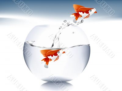  goldfish jumping 