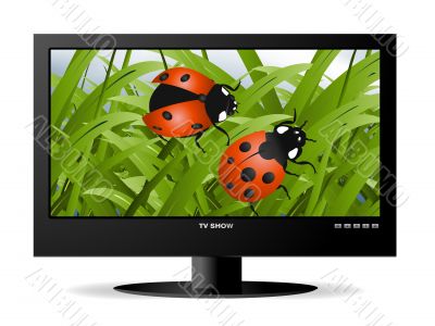 widescreen lcd monitor