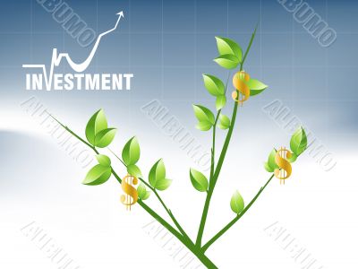 Business Background