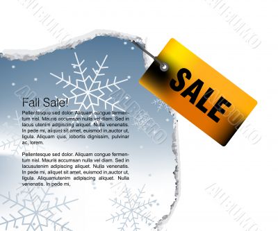 Sales and discount concept