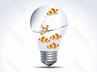 set of clown fish in the bulb
