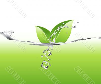 LEAVES IN WATER 