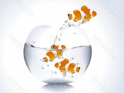 Group_C_002