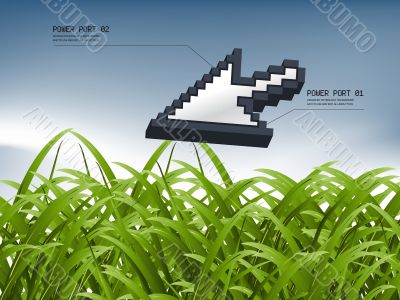 Green Grass