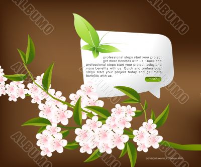 Website template