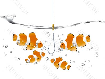 Group_C_003
