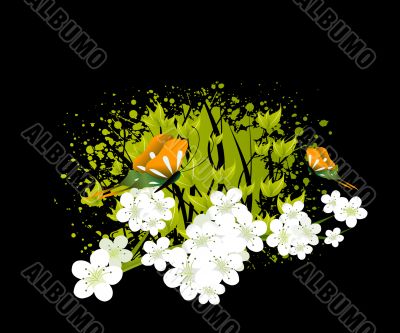 Group_C_005