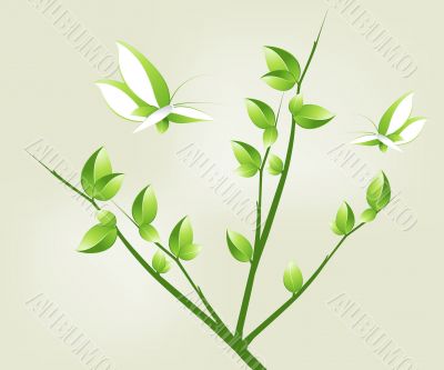 Group_C_064
