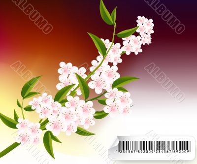 Group_C_004