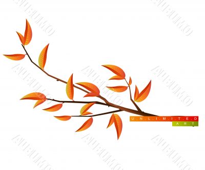 Group_C_046
