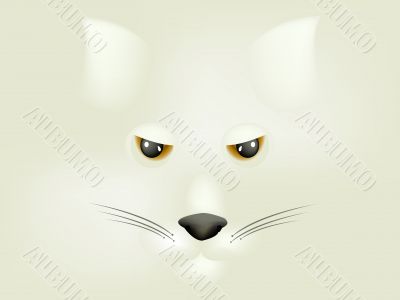Fox Face