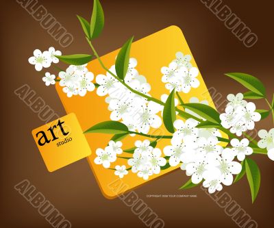 Group_C_085
