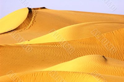 Landscape of golden desert