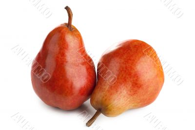 Two ripe juicy pears on a white background