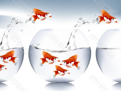  goldfish jumping 