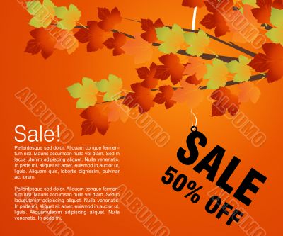 Sales and discount concept