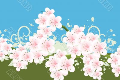 blossoms Illustration